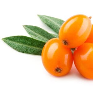 buckthorn oil helps heal your skin from inflammation used in serums by bao laboratory