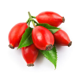 rosehip oil promotes cell regeneration used in serums by bao laboratory