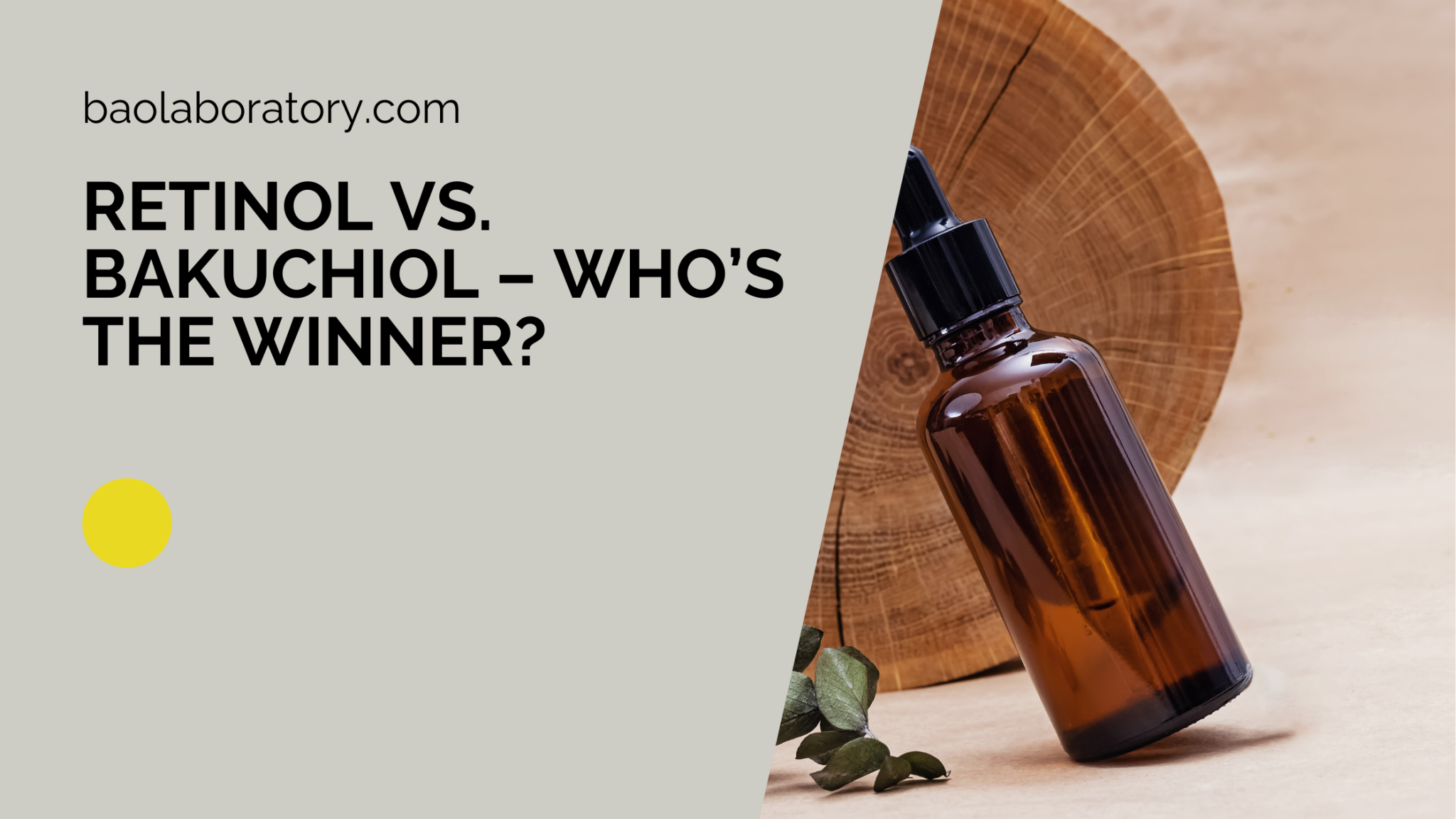 Retinol VS. Bakuchiol – Who’s The Winner? - BAO Laboratory