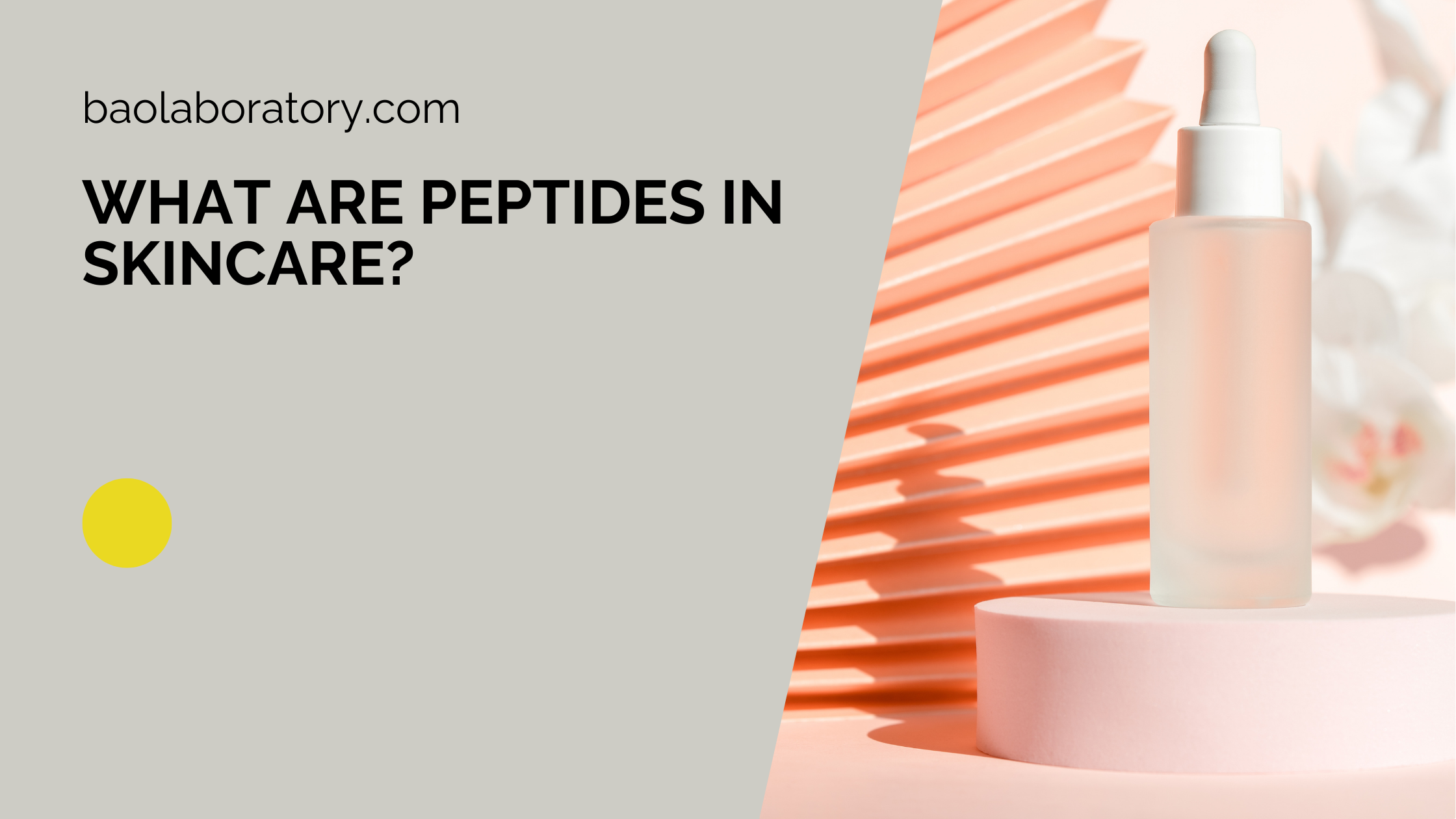 What are Peptides in Skincare