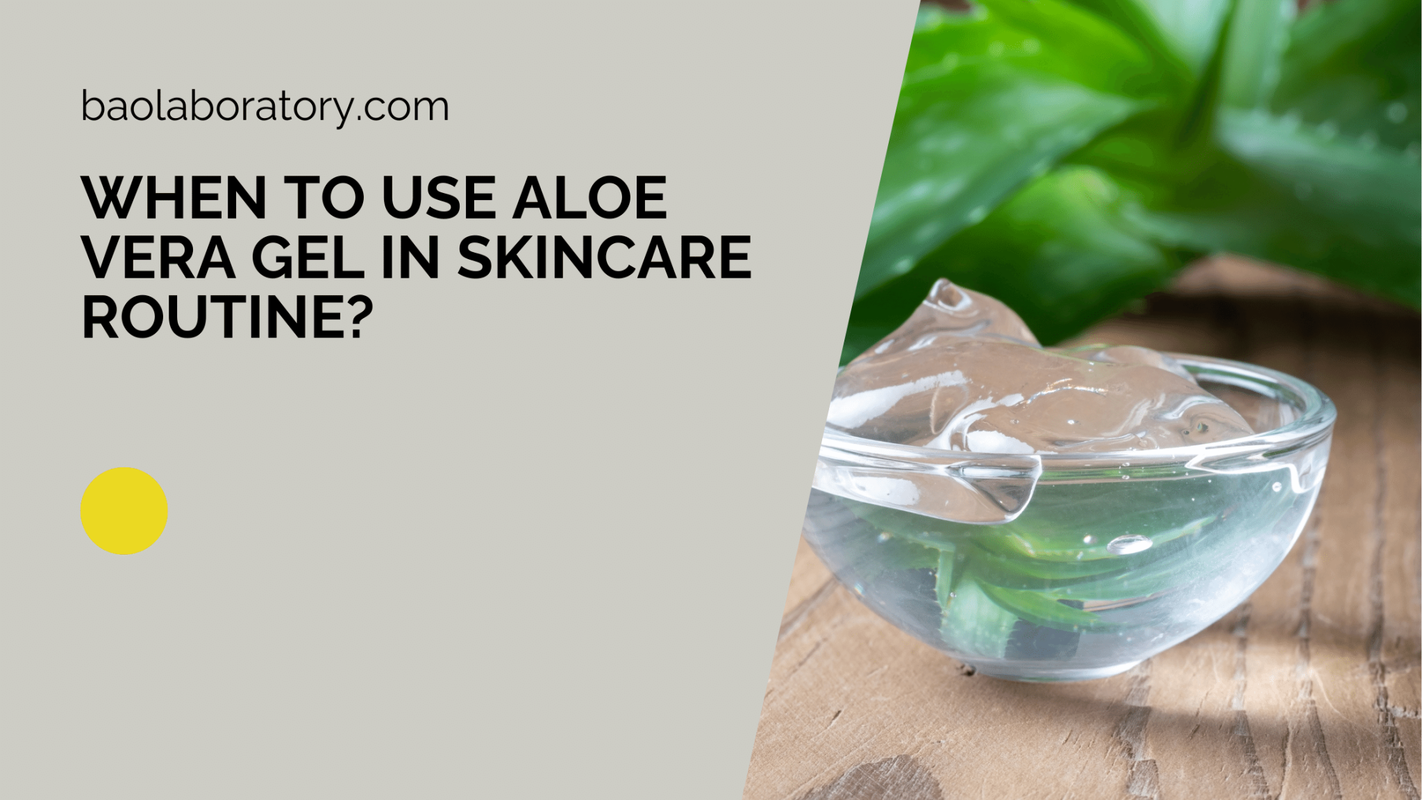 When To Use Aloe Vera Gel In Skincare Routine Bao Laboratory