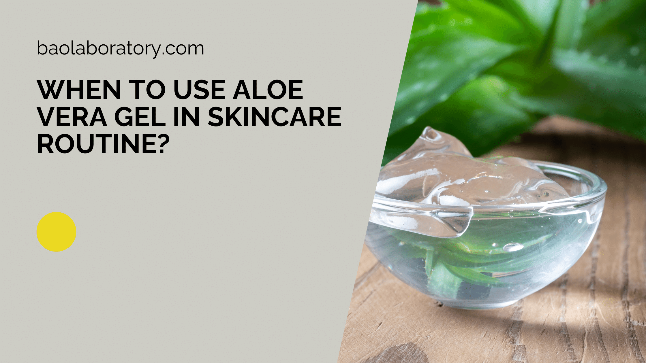 When to Use Aloe Vera Gel in Skincare Routine