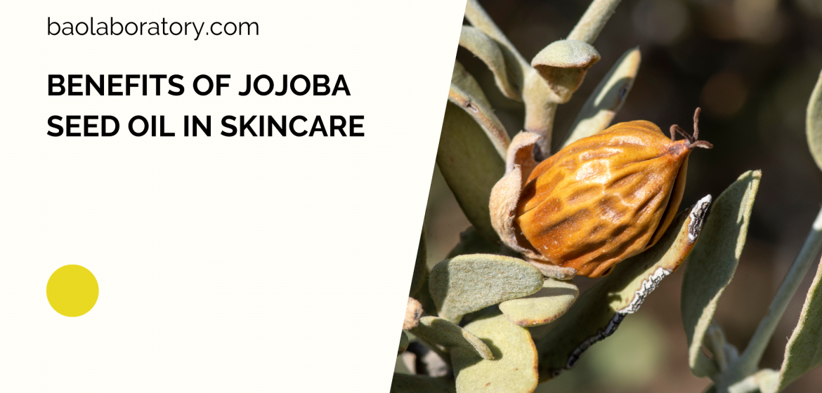 Benefits of Jojoba Seed Oil In Skincare