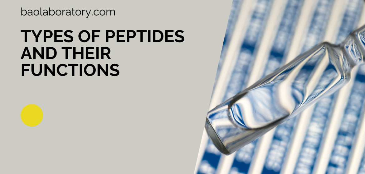 Types of Peptides