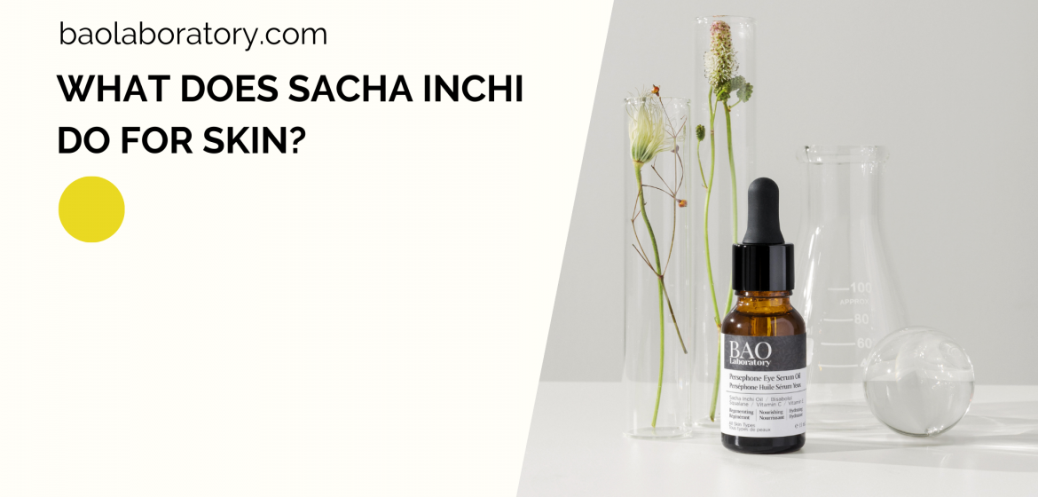 What does sacha inchi do for skin